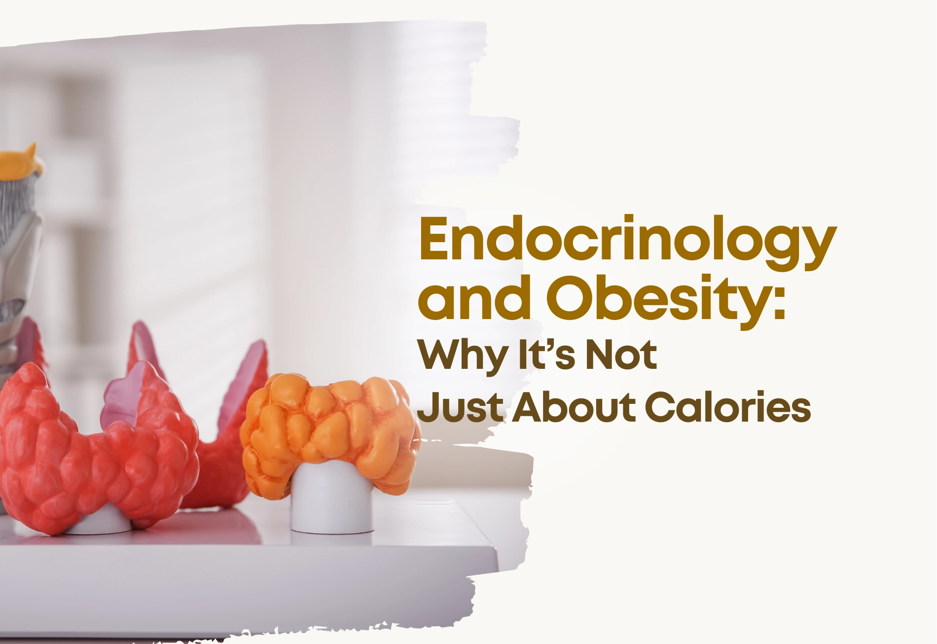 Endocrinology and Obesity: Why It’s Not Just About Calories