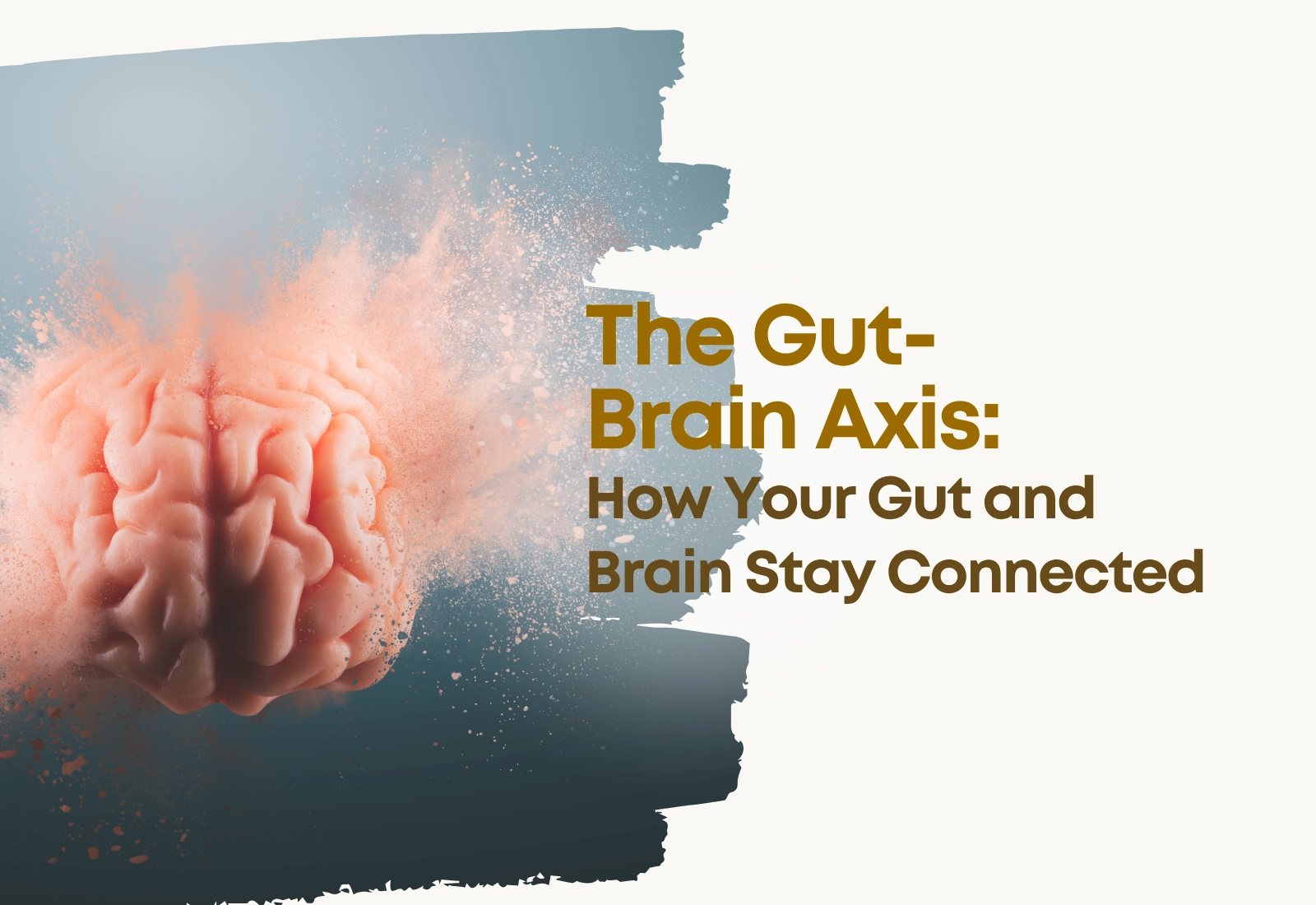 The Gut-Brain Axis: How Your Gut and Brain Stay Connected