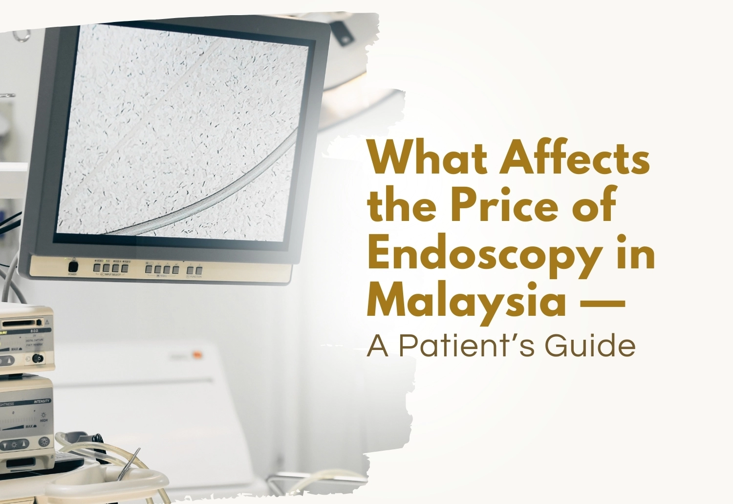 What Affects the Price of Endoscopy in Malaysia — A Patient’s Guide