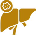 Liver Diseases